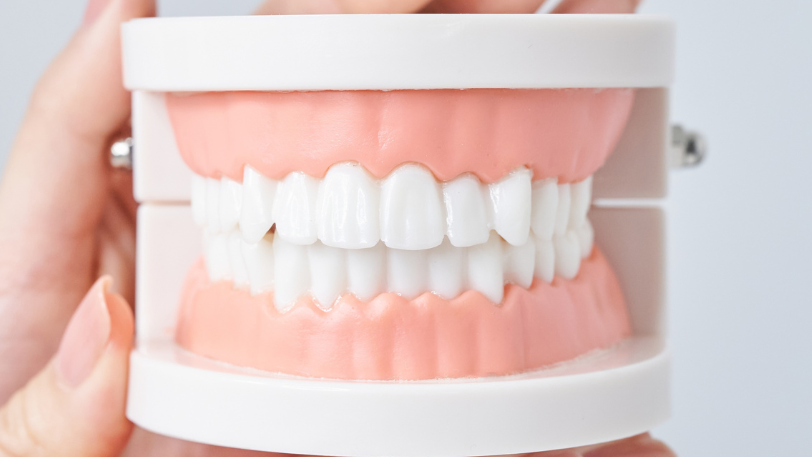 噛み合わせ｜いばた歯科